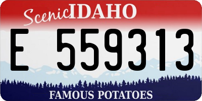 ID license plate E559313
