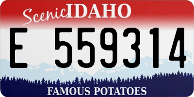 ID license plate E559314