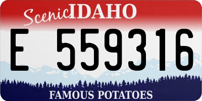 ID license plate E559316