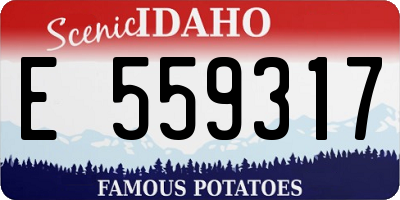 ID license plate E559317