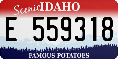 ID license plate E559318