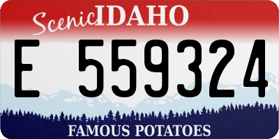 ID license plate E559324