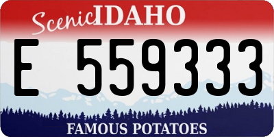 ID license plate E559333