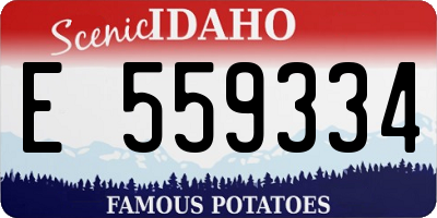 ID license plate E559334
