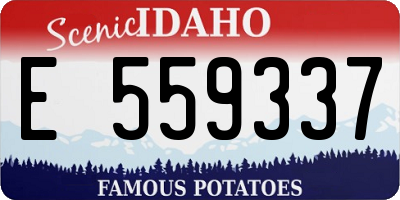 ID license plate E559337