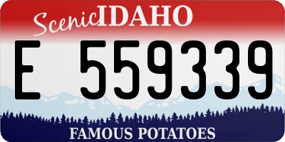 ID license plate E559339