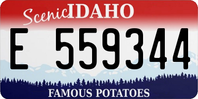 ID license plate E559344