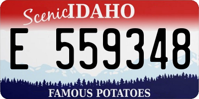 ID license plate E559348