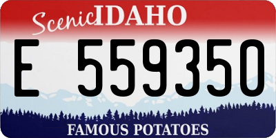 ID license plate E559350