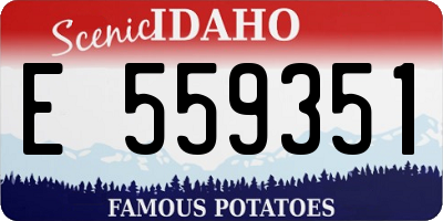 ID license plate E559351