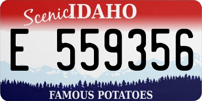 ID license plate E559356