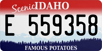 ID license plate E559358