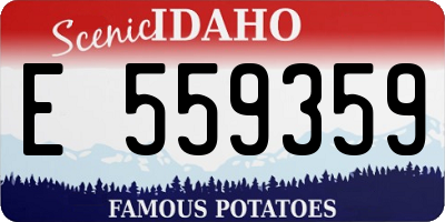 ID license plate E559359