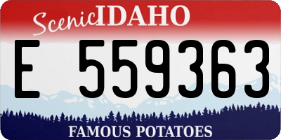 ID license plate E559363