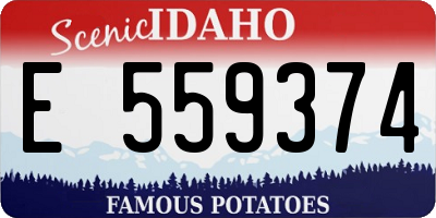 ID license plate E559374
