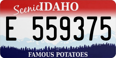 ID license plate E559375