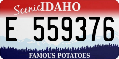 ID license plate E559376