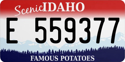 ID license plate E559377