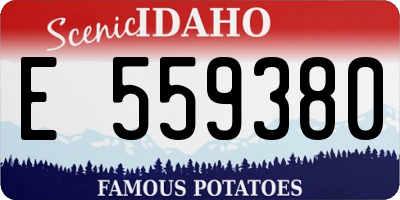 ID license plate E559380