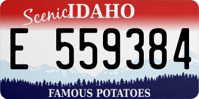 ID license plate E559384