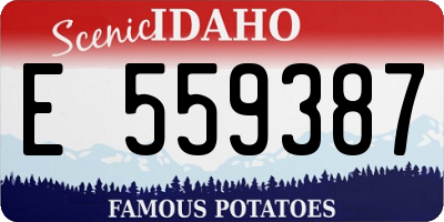 ID license plate E559387