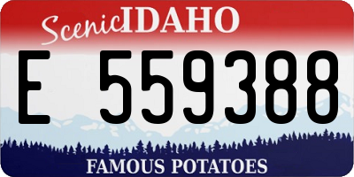 ID license plate E559388