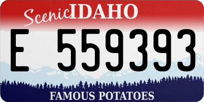 ID license plate E559393