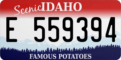 ID license plate E559394