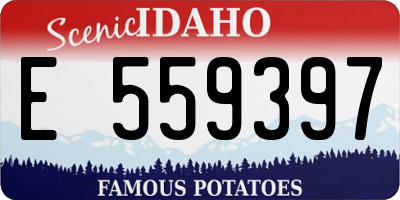 ID license plate E559397