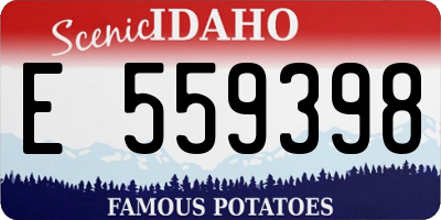 ID license plate E559398