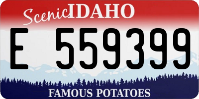 ID license plate E559399
