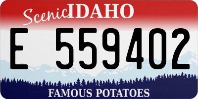 ID license plate E559402