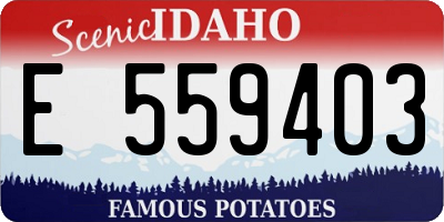 ID license plate E559403