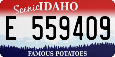 ID license plate E559409
