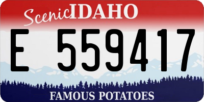 ID license plate E559417