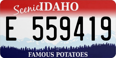 ID license plate E559419