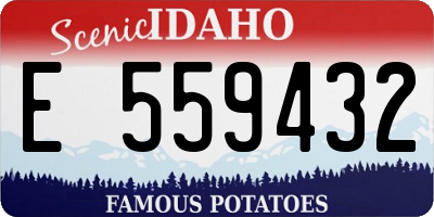 ID license plate E559432