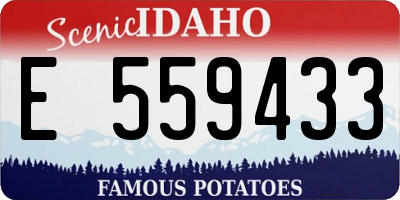 ID license plate E559433