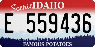 ID license plate E559436