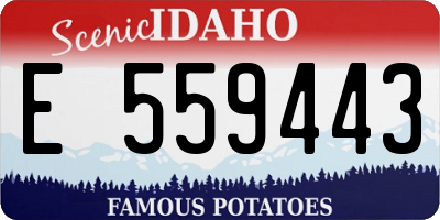 ID license plate E559443