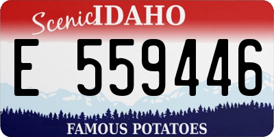 ID license plate E559446