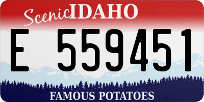 ID license plate E559451