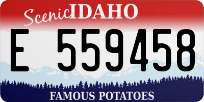 ID license plate E559458