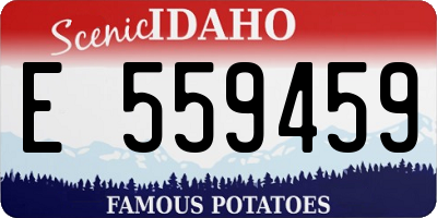 ID license plate E559459