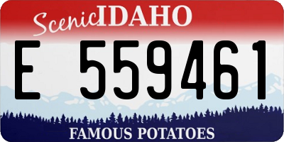 ID license plate E559461