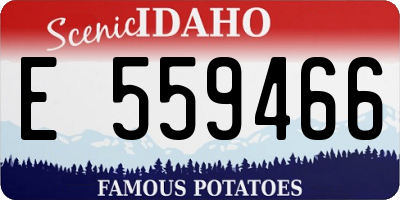 ID license plate E559466