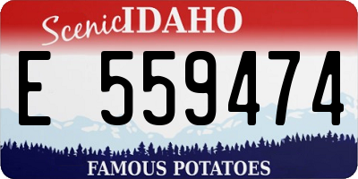 ID license plate E559474