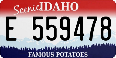 ID license plate E559478