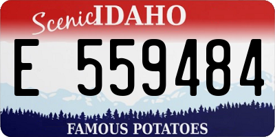 ID license plate E559484