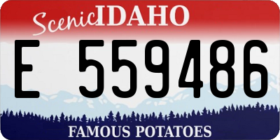 ID license plate E559486